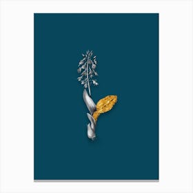 Vintage Brown Widelip Orchid Black and White Gold Leaf Floral Art on Teal Blue n.0855 Canvas Print