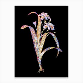 Stained Glass Iris Fimbriata Mosaic Botanical Illustration on Black n.0359 Canvas Print