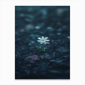 Flower In The Dark 80 Canvas Print