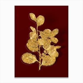 Vintage Lingonberry Evergreen Shrub Botanical in Gold on Red n.0394 Canvas Print