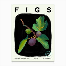 Figs Fruit Kitchen Typography Canvas Print