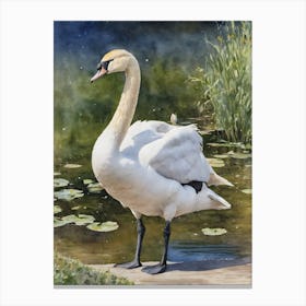 Reflection Bewick S Swan Canvas Print
