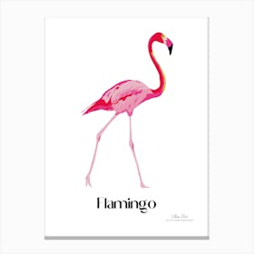 Flamingo. Long, thin legs. Pink or bright red color. Black feathers on the tips of its wings.2 Canvas Print