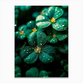 Shamrocks Canvas Print