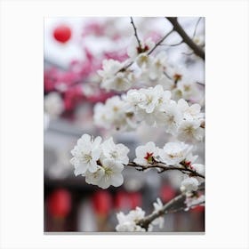 Cherry Blossoms In Spring Canvas Print