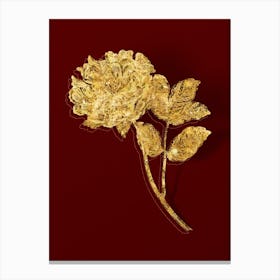 Vintage Tree Peony Botanical in Gold on Red n.0464 Canvas Print