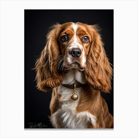 Golden And White English Cocker Spaniel Fluff Surrounding Soft Happy Gaze Purebred Demeanor Sitti 2 1 Canvas Print