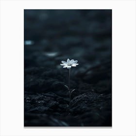 Flower In The Dark 32 Canvas Print