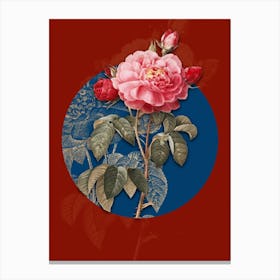 Vintage Botanical Vintage Duchess of Orleans Rose on Circle Blue on Red n.0014 Canvas Print
