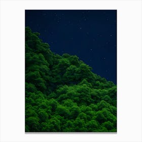 Night Sky With Green Trees Canvas Print