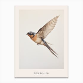Vintage Bird Drawing Barn Swallow Poster Canvas Print