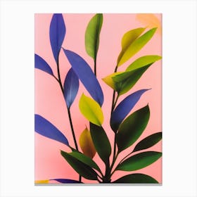 Burle Marx Philodendron Colourful Illustration Plant Canvas Print