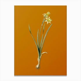 Vintage Narcissus Calathinus Botanical on Sunset Orange n.0972 Canvas Print