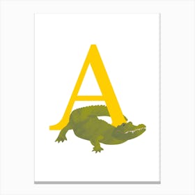 A For Alligator Canvas Print