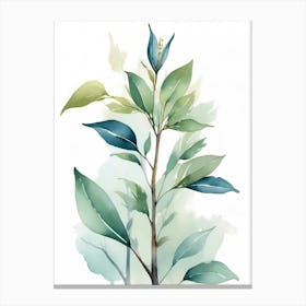 Watercolor Tree With Leaves Canvas Print