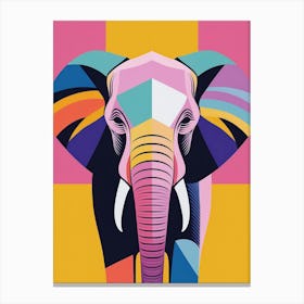 Colourful Elephant Canvas Print