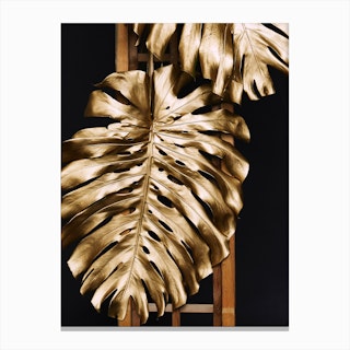 Gold Monstera Leaves Canvas Print