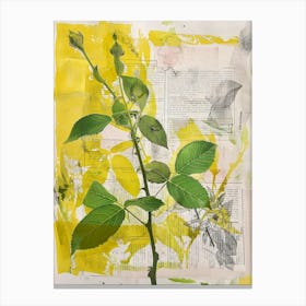 'Leaf' Canvas Print