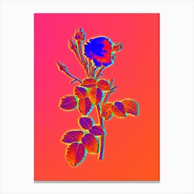 Neon Provence Rose Botanical in Hot Pink and Electric Blue Canvas Print