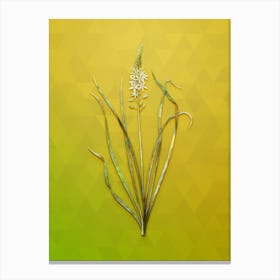 Vintage Wild Asparagus Botanical Art on Empire Yellow n.0653 Canvas Print