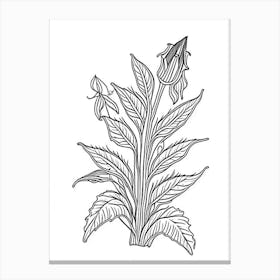 Comfrey Herb William Morris Inspired Line Drawing 1 Canvas Print