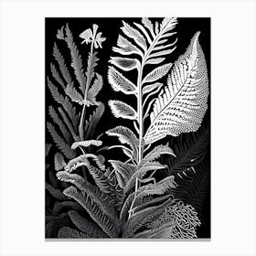 New York Fern Wildflower Linocut 2 Canvas Print