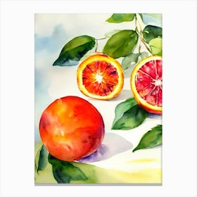 Blood Orange Italian Watercolour fruit Canvas Print