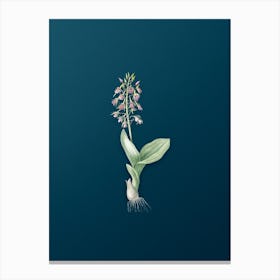 Vintage Brown Widelip Orchid Botanical Art on Teal Blue n.0568 Canvas Print