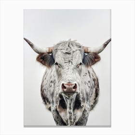 Longhorn Bull 2 Canvas Print