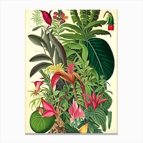 Jungle 4 Botanicals Canvas Print