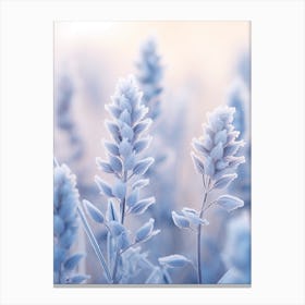 Frosty Botanical Bluebonnet 2 Canvas Print