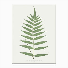 Fern Leaf Print Canvas Print