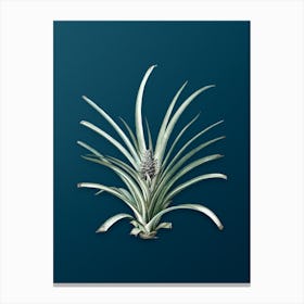 Vintage Pineapple Botanical Art on Teal Blue n.0228 Canvas Print