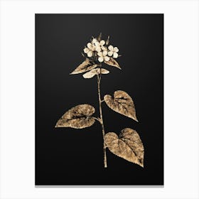 Gold Botanical Morning Glory Flower on Wrought Iron Black n.2430 Canvas Print
