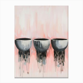 Three Bowls Canvas Print