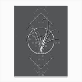 Vintage Yellow Autumn Crocus Botanical with Line Motif and Dot Pattern in Ghost Gray n.0034 Canvas Print