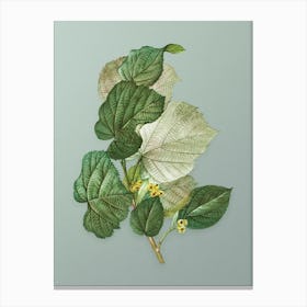 Vintage Linden Tree Branch Botanical Art on Mint Green n.0583 Canvas Print