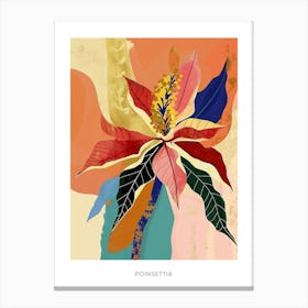 Colourful Flower Illustration Poster Poinsettia 3 Canvas Print