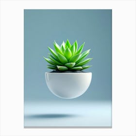 A Succulent Plant In A Ceramic Bowl Canvas Print