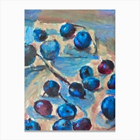 Damson 3 Classic Fruit Canvas Print