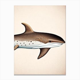 Carpet Shark Vintage Canvas Print