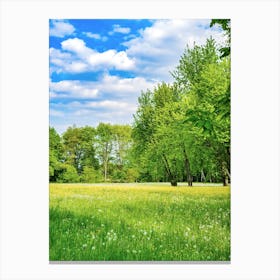 Spring time Green Meadow Canvas Print