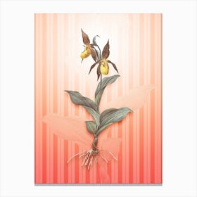 Lady's Slipper Orchid Vintage Botanical in Peach Fuzz Awning Stripes Pattern n.0039 Canvas Print