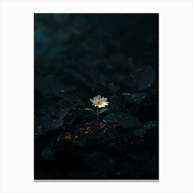 Water Lily 2 Canvas Print