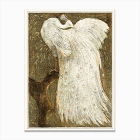 White Peacock On Branch, Theo Van Hoytema Canvas Print