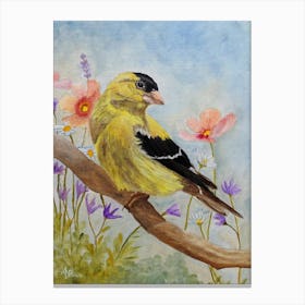 Early Spring American Goldfinch Canvas Print