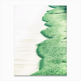 Riverbank Grass Canvas Print