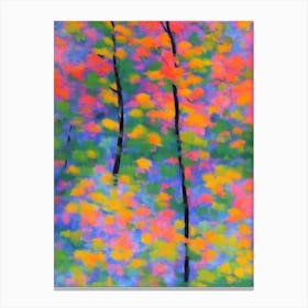 River Birch 2 tree Abstract Block Colour Canvas Print