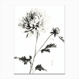 Ink Illustration Of Flower, Blooming Chrysanthemum 1 Canvas Print