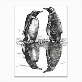 King Penguin Admiring Their Reflections 3 Canvas Print